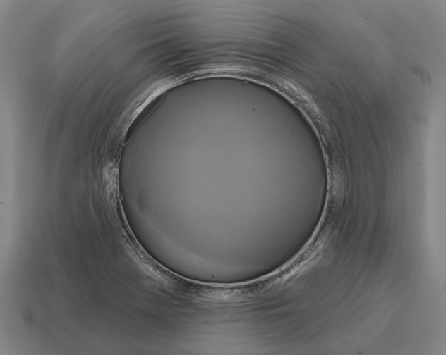 X0000115091369200911101515