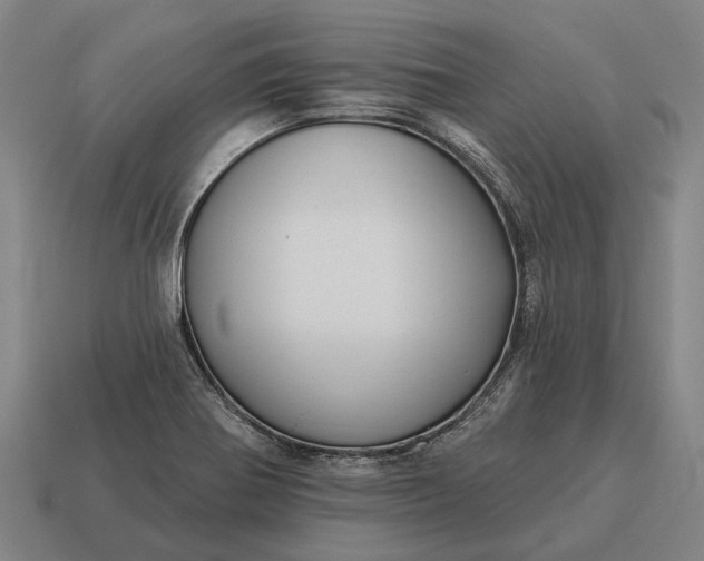 X0000115091370200911101515