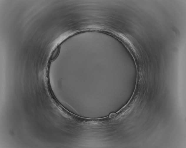X0000115091373200911101514