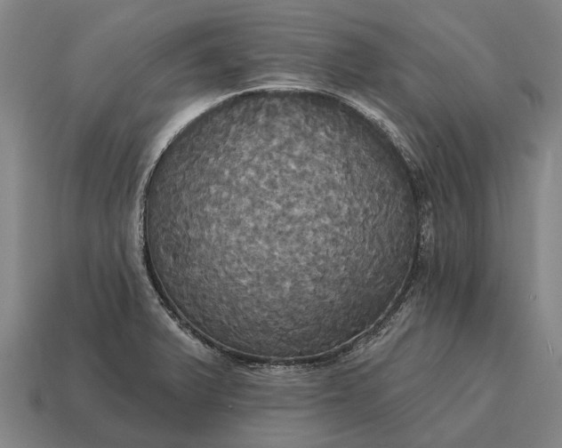 X0000115091375200911101514