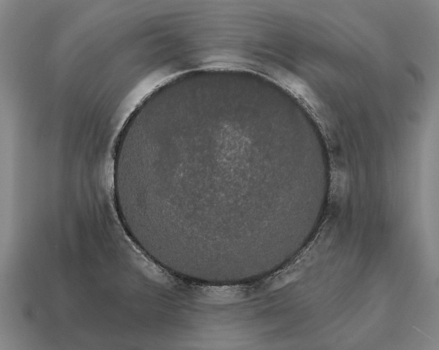 X0000115091376200911101514