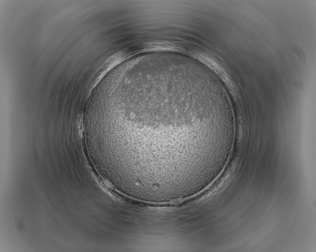 X0000115091377200911101514