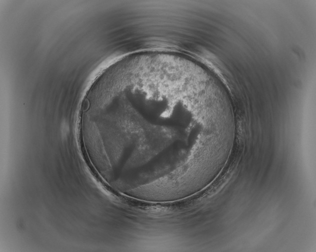 X0000115091379200911101514