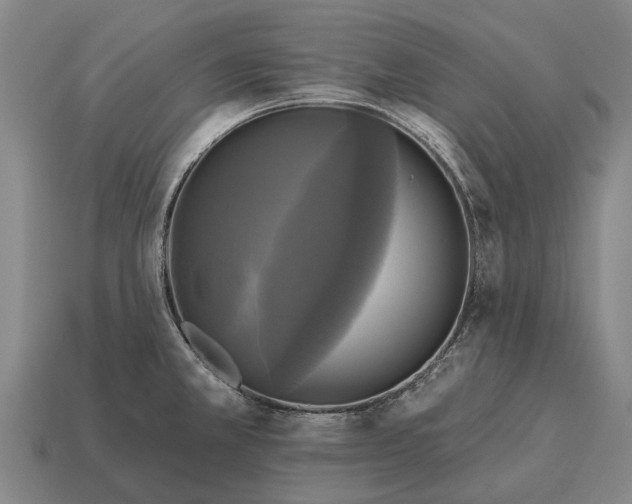 X0000115091381200911101514
