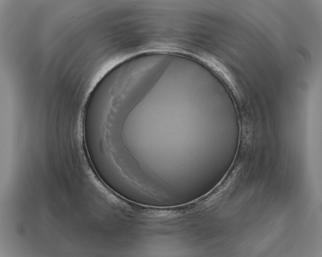 X0000115091382200911101514