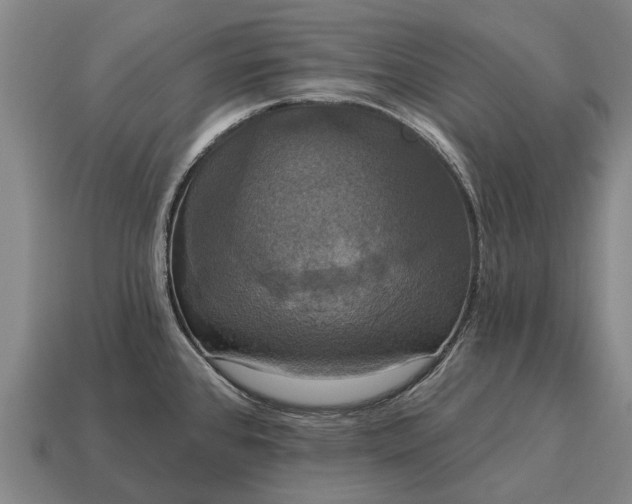 X0000115091384200911101514