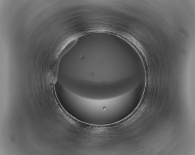 X0000115091385200911101514