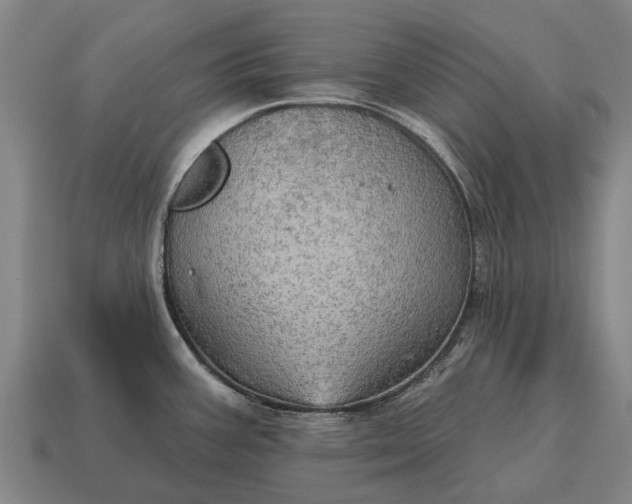 X0000115091387200911101514