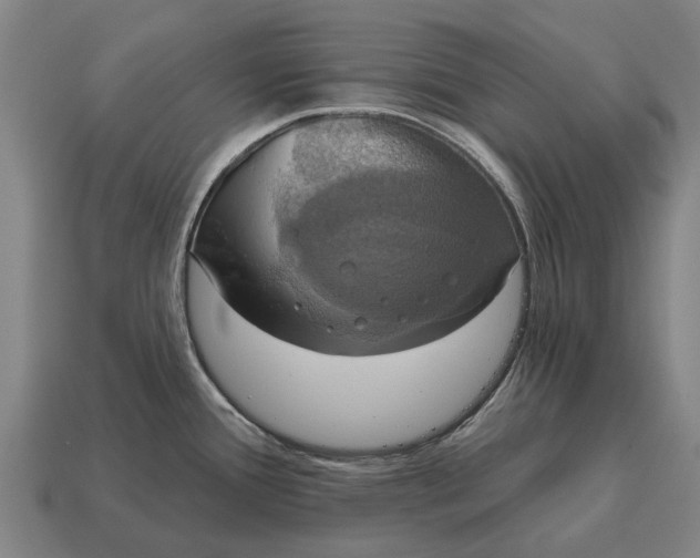 X0000115091388200911101514