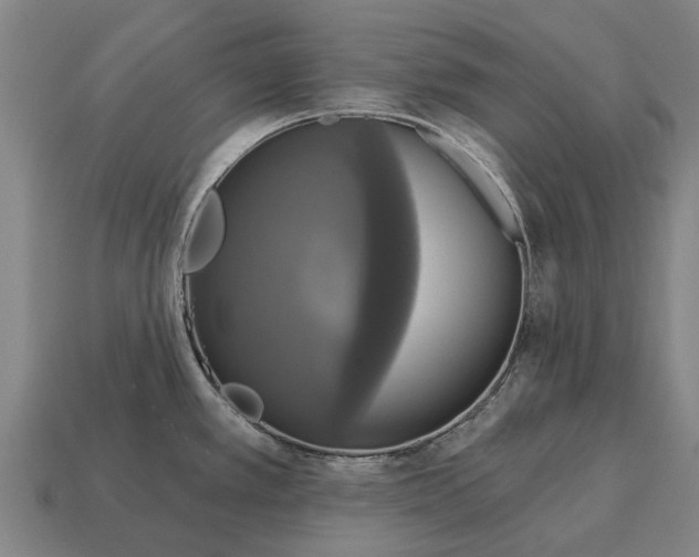 X0000115091389200911101514