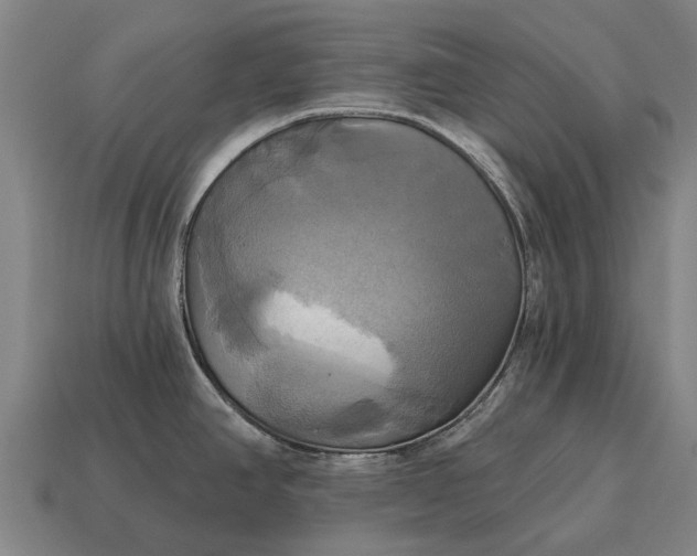 X0000115091390200911101514