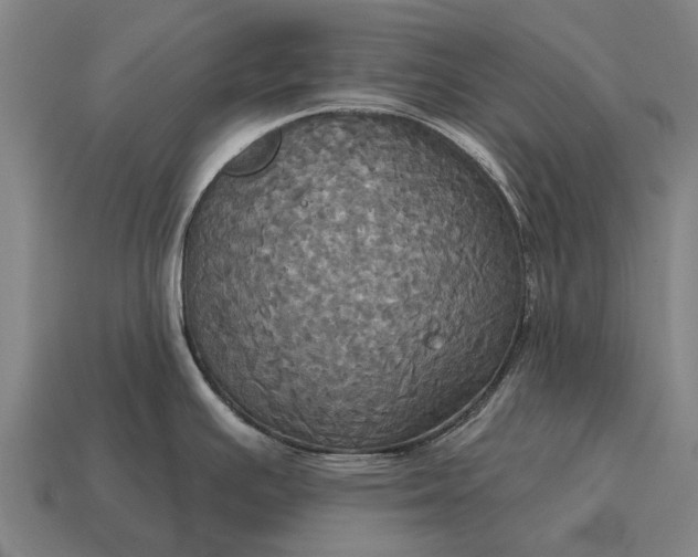 X0000115091391200911101514
