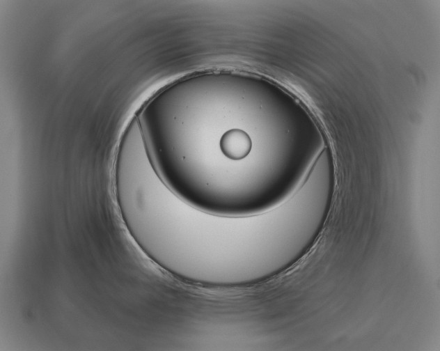 X0000115091392200911101514