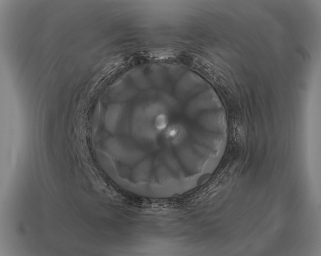 X0000115091393200911101514
