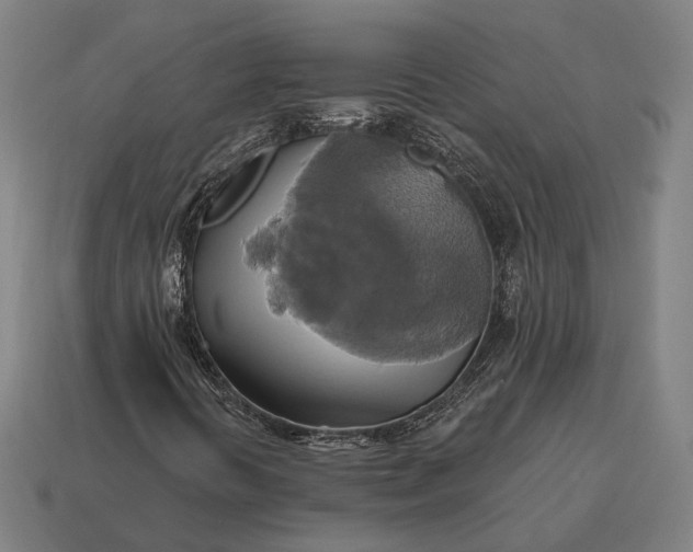 X0000115091394200911101514