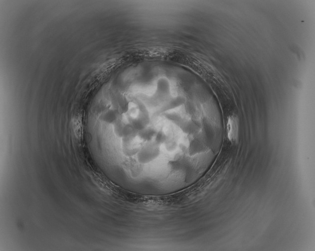 X0000115091395200911101514
