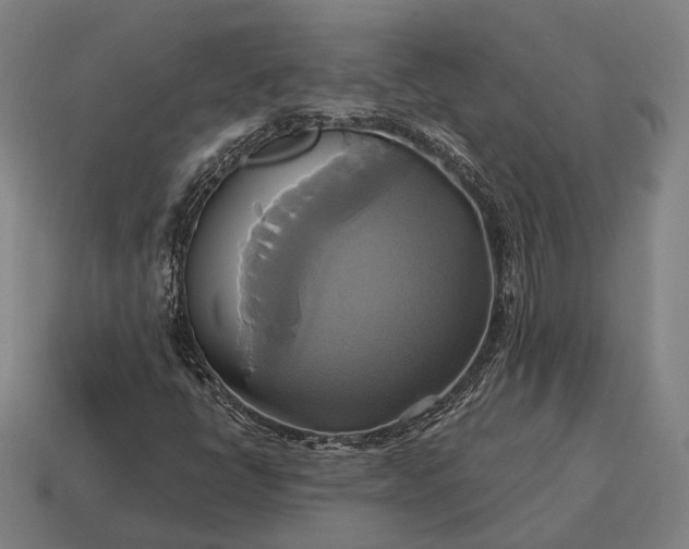 X0000115091398200911101514