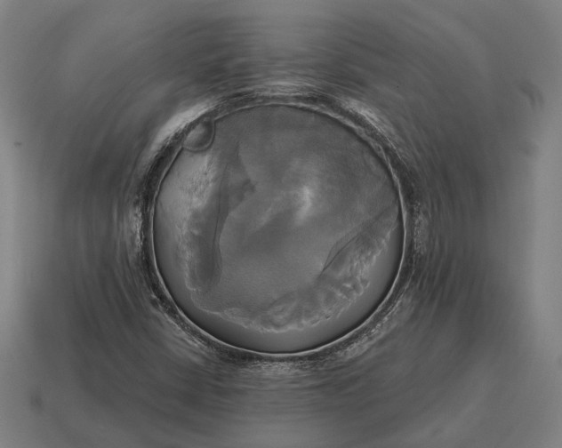 X0000115091402200911101514