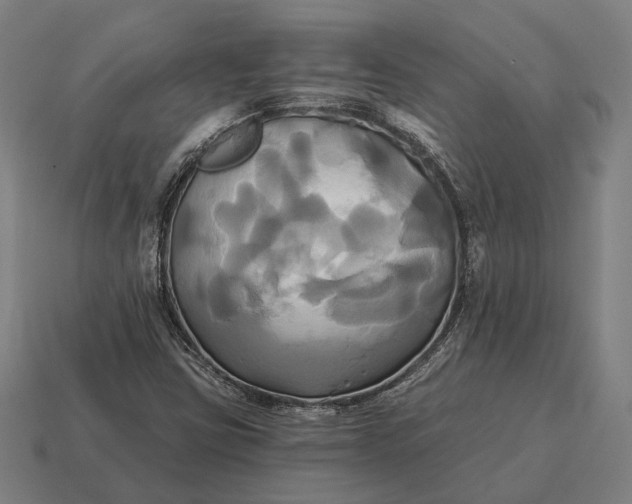 X0000115091403200911101514