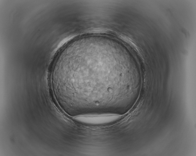 X0000115091404200911101514