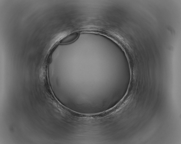 X0000115091405200911101514