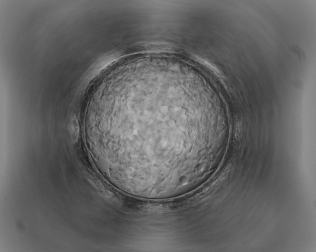 X0000115091407200911101514