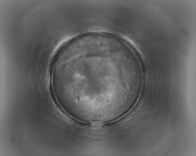 X0000115091408200911101514
