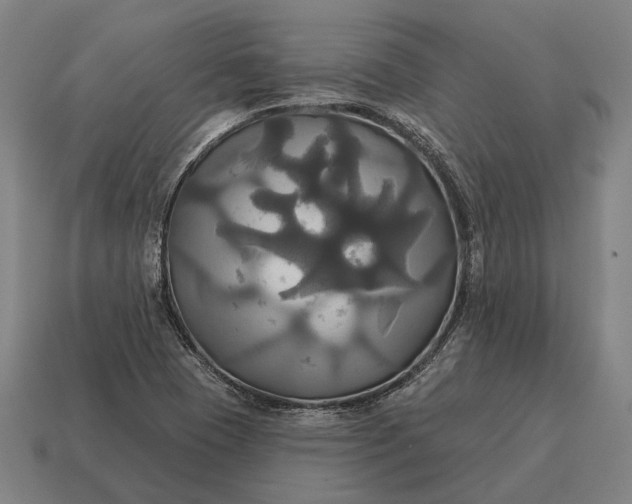 X0000115091409200911101514