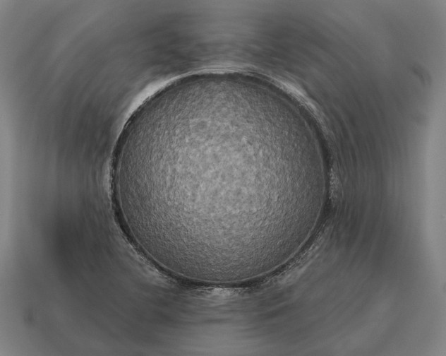 X0000115091412200911101514