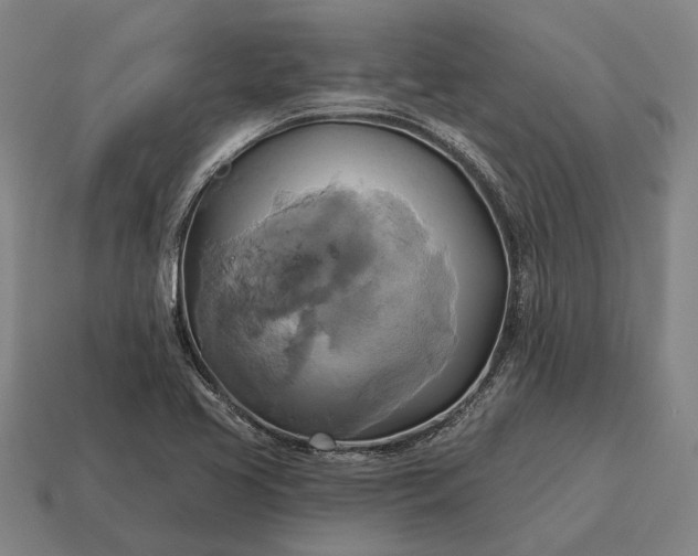 X0000115091413200911101514