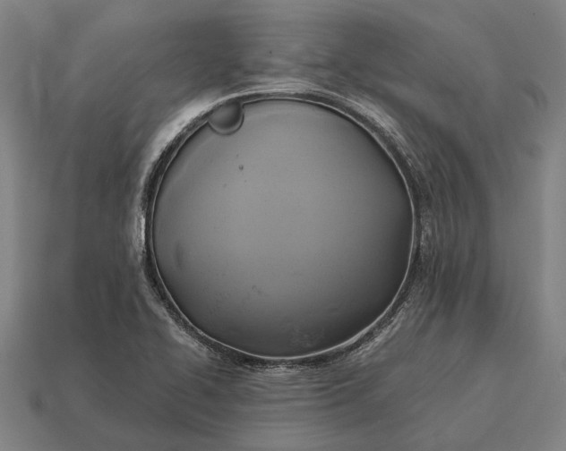 X0000115091414200911101514