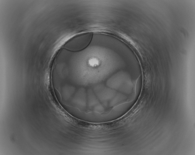 X0000115091415200911101514