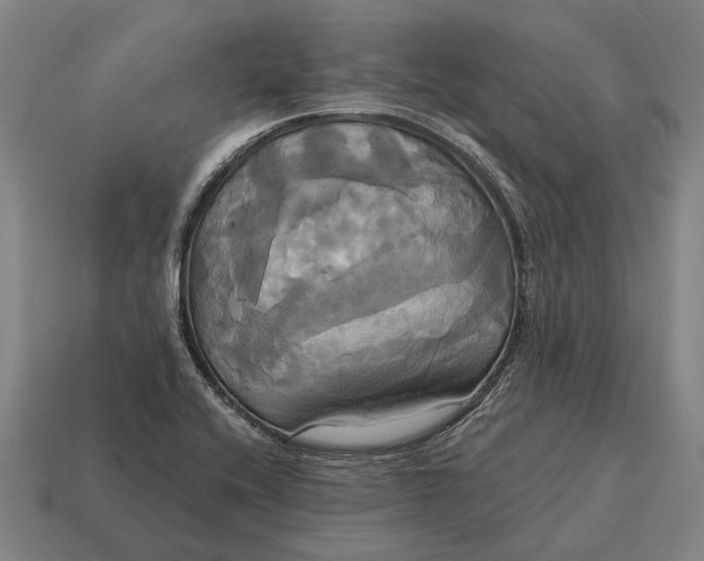 X0000115091416200911101514