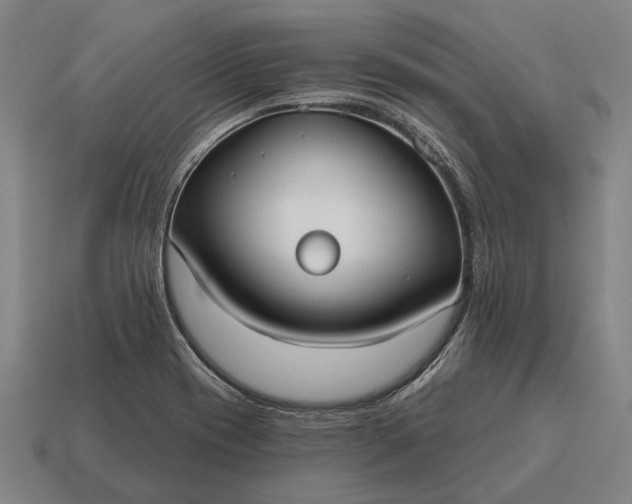 X0000115091417200911101514