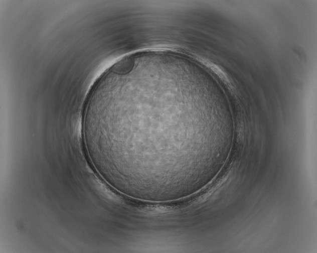 X0000115091420200911101514
