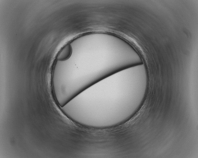 X0000115091424200911101514
