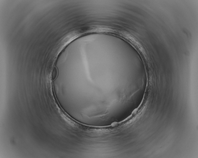 X0000115091425200911101514