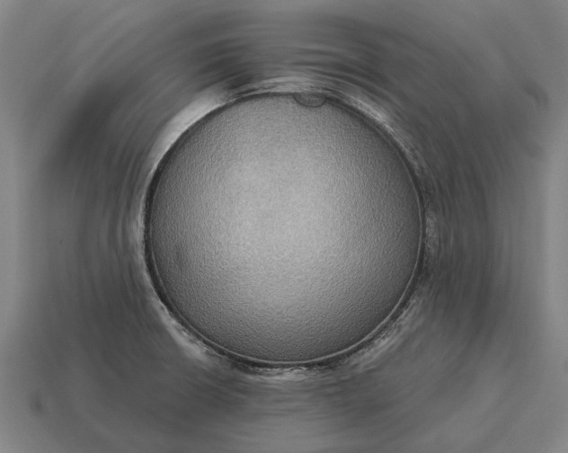 X0000115091426200911101514
