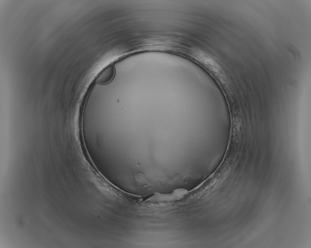 X0000115091427200911101514
