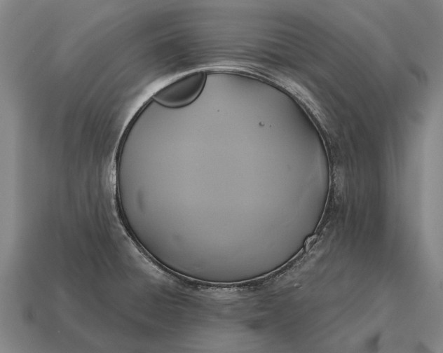 X0000115091428200911101514