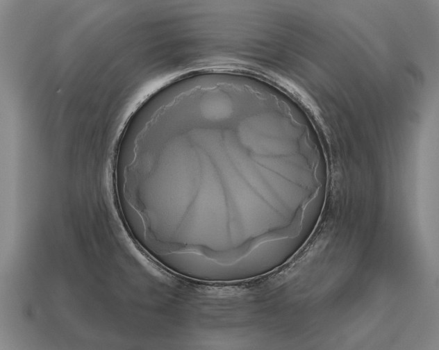X0000115091429200911101514