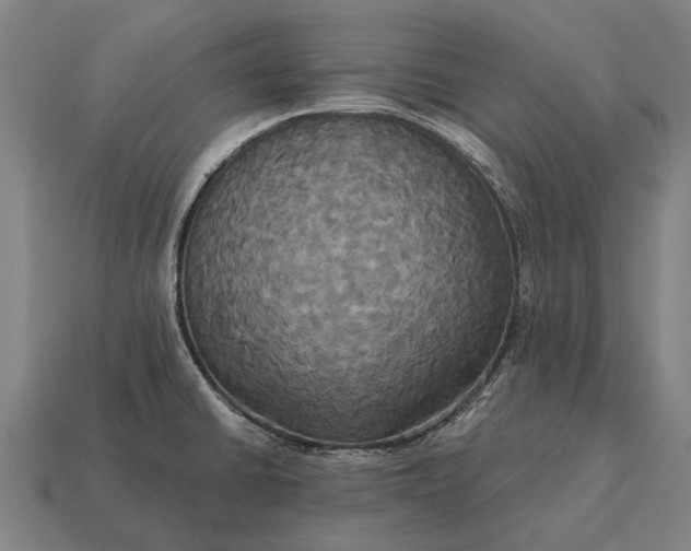 X0000115091430200911101514