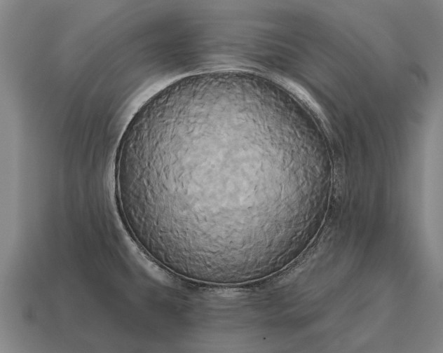 X0000115091431200911101514