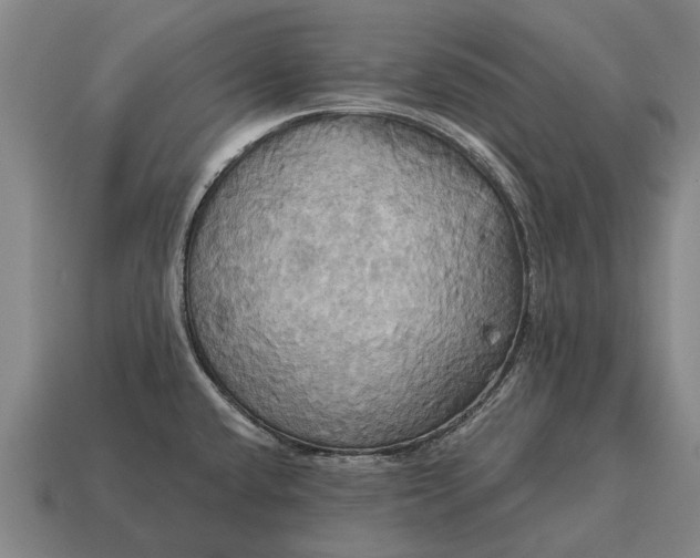 X0000115091432200911101514