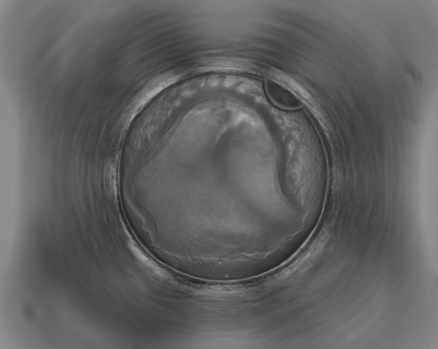 X0000115091433200911101514