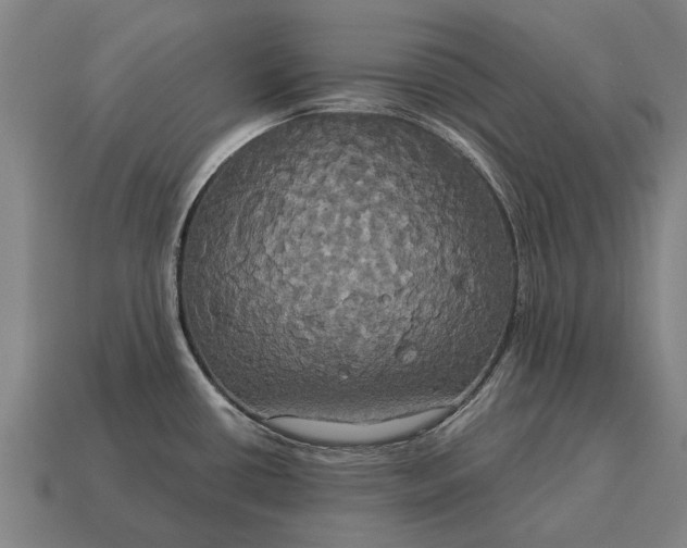 X0000115091434200911101514
