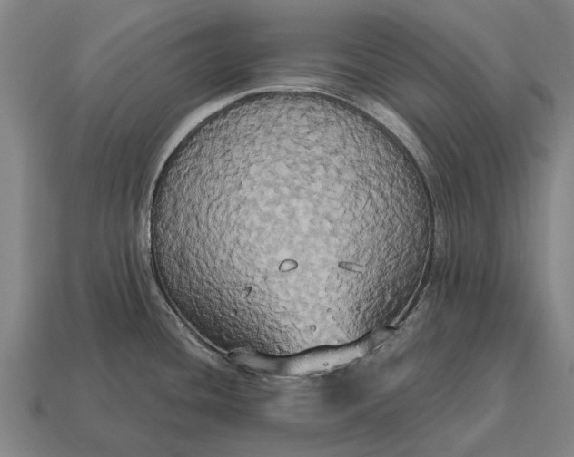 X0000115091436200911101514