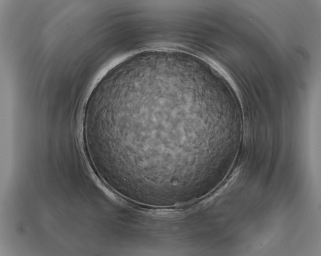 X0000115091437200911101514