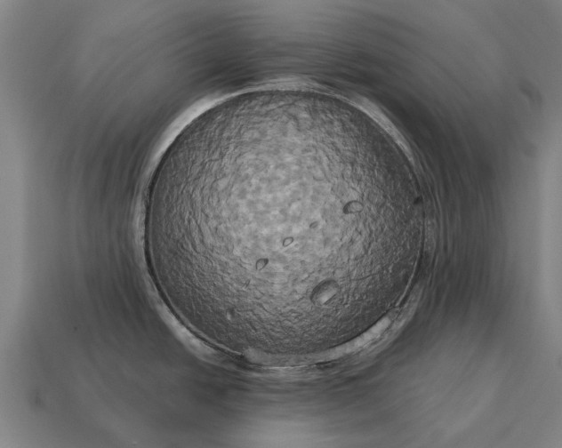 X0000115091438200911101514