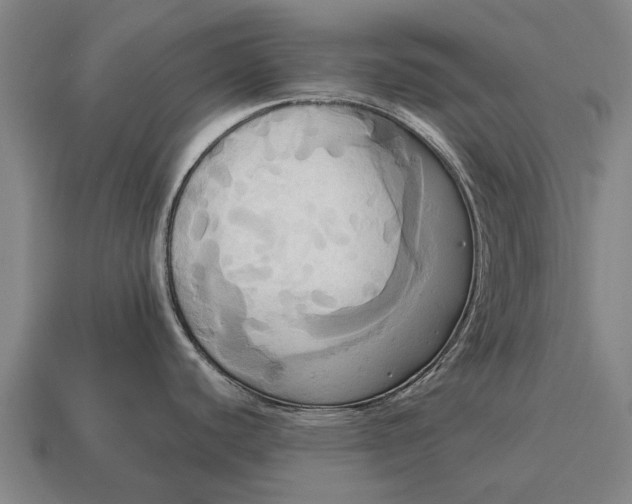 X0000115091440200911101514